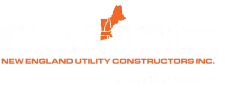 Neuco Logo 2 Col White